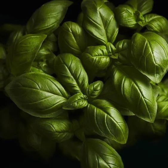 中國美容博覽會