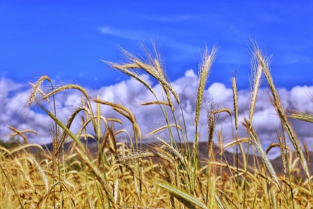 中國美容博覽會(huì)