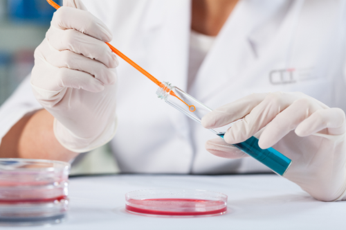 中國美容博覽會