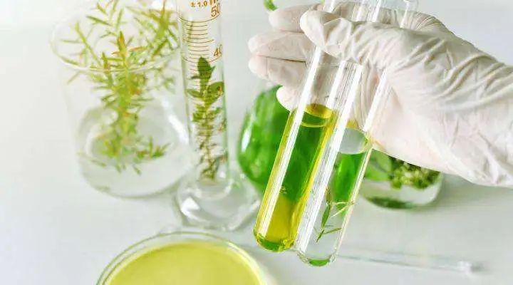 中國美容博覽會