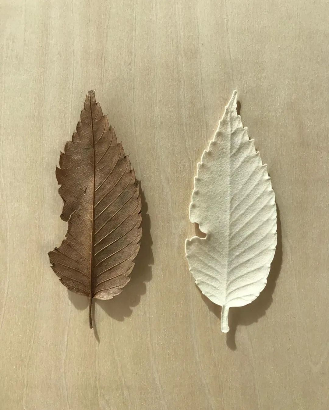 中國美容博覽會