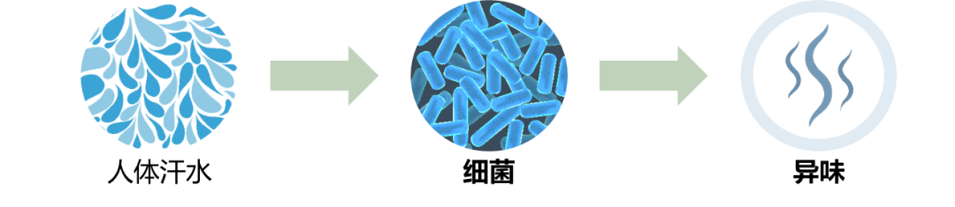 中國(guó)美容博覽會(huì)